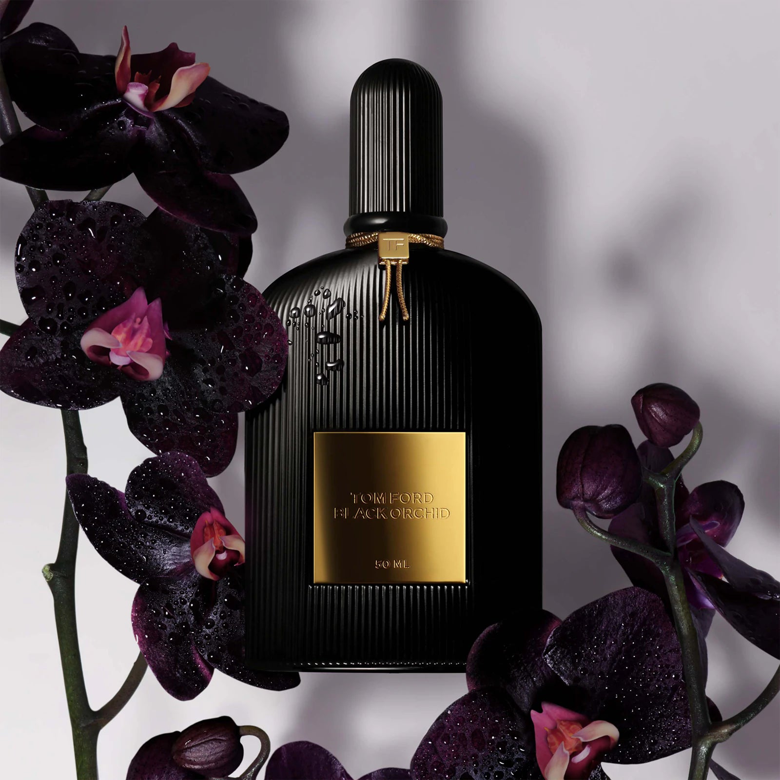 TOM FORD Black Orchid, 100ml